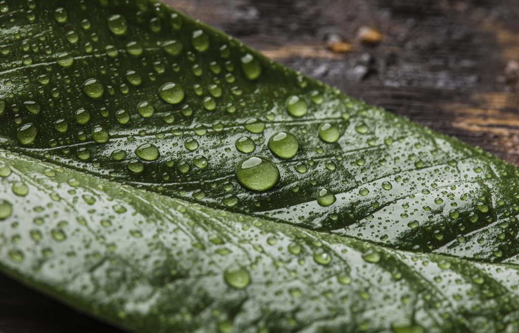 Как найти относительную влажность воздуха